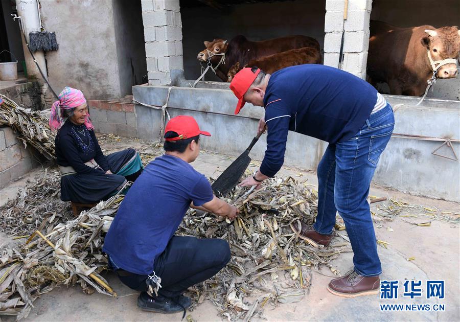 （社會(huì)）（6）云南尋甸：脫貧攻堅(jiān)中的“小紅帽”幫扶隊(duì)