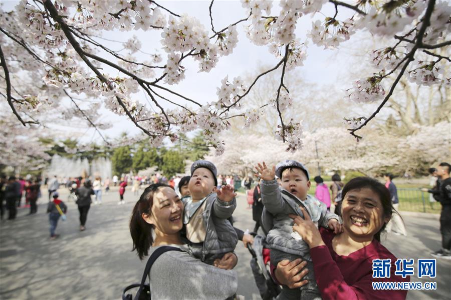 #（環(huán)境）（5）花開(kāi)在四月