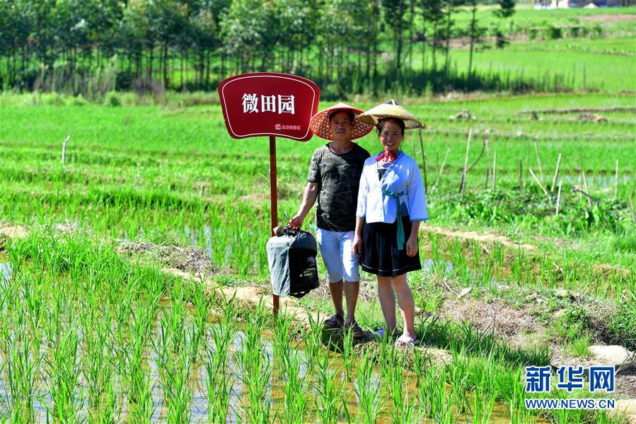 （社會）（5）苗山脫貧影像志——把苗寨搬進(jìn)景區(qū) 讓貧困戶住進(jìn)城里