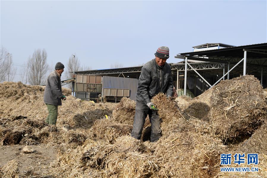 （在習(xí)近平新時代中國特色社會主義思想指引下——新時代新氣象新作為·鄉(xiāng)村振興戰(zhàn)略·圖文互動）（2）“與其放火，不如打包”——山西渾源秸稈綜合再利用見聞