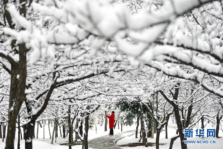 （鏡觀中國·新華社國內照片一周精選）（12）冰雪世界