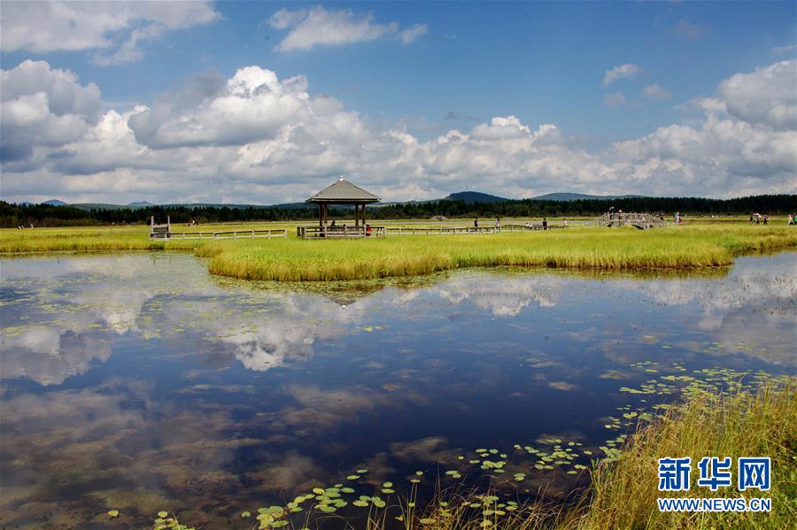 （新華全媒頭條·圖文互動(dòng)）（2）那一抹綠色，走進(jìn)越來(lái)越多人心里——河北塞罕壩續(xù)寫(xiě)新時(shí)代綠色傳奇