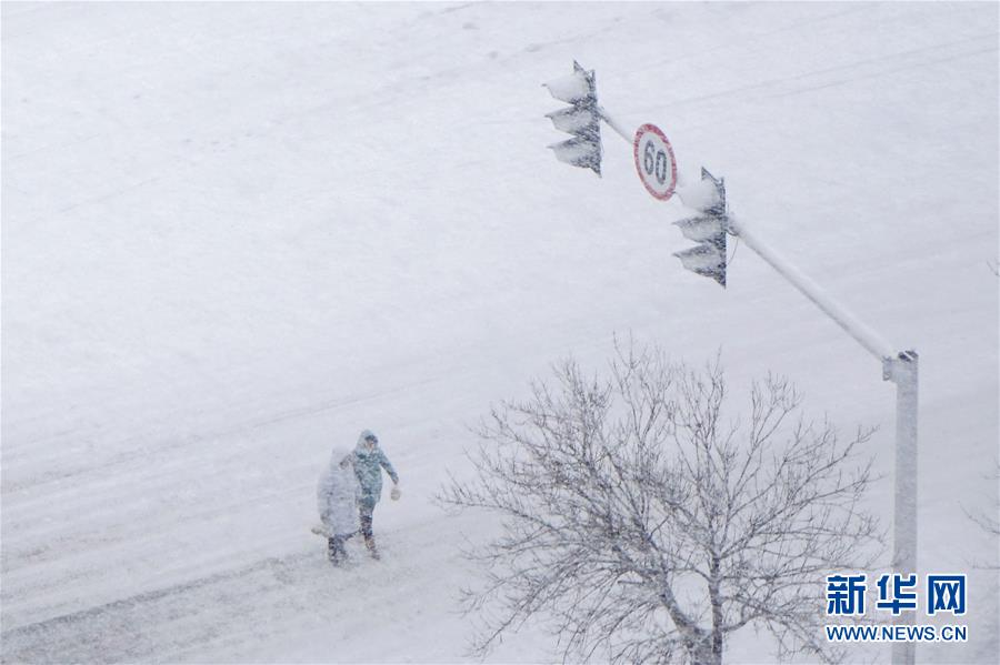 #（環(huán)境）（4）瑞雪迎新年