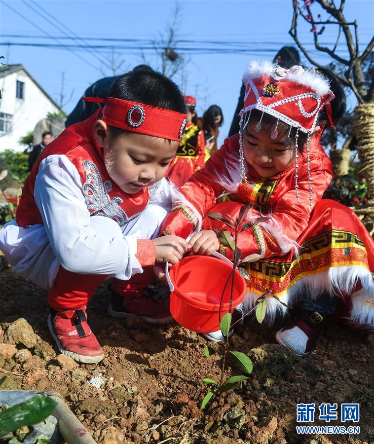 （社會(huì)）（3）多民族兒童共迎植樹節(jié)