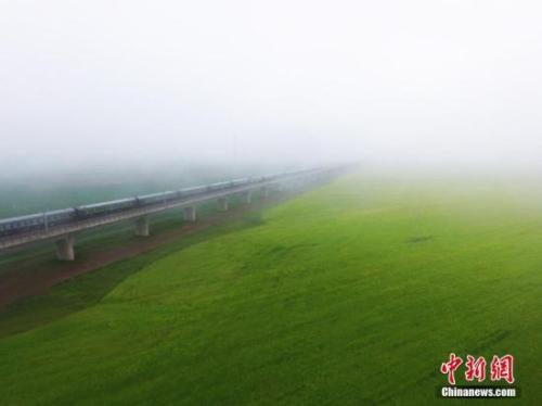 資料圖：動(dòng)車組穿越雨霧中的油菜花海宛若穿越時(shí)空。 楊艷敏 攝