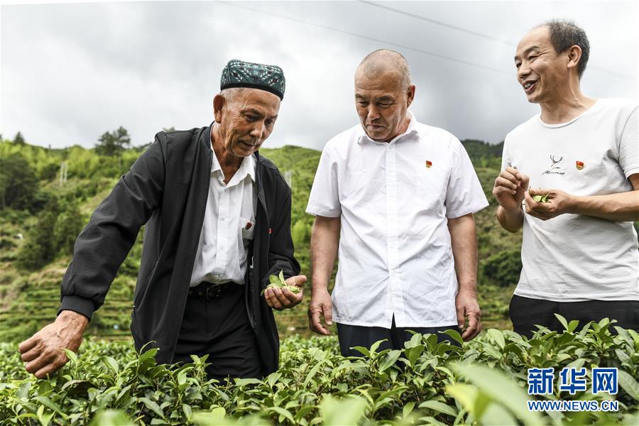 （新華全媒頭條·圖文互動）（7）同心援疆，“壯闊”祖國西北角