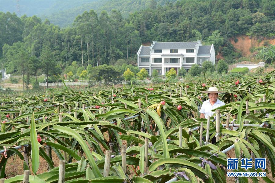 （在習近平新時代中國特色社會主義思想指引下——新時代新作為新篇章·總書記關心的百姓身邊事·圖文互動）（6）大污染變身“大寶藏”：治理畜禽糞污，他們這樣干！