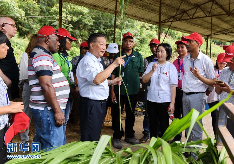 （不忘初心、牢記使命·圖文互動(dòng)）（5）拳拳寸草心 濃濃報(bào)國(guó)情——記“菌草之父”林占熺