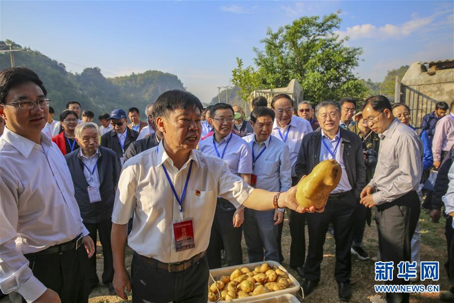 （新華全媒頭條·時(shí)代先鋒·圖文互動(dòng)）（5）“要把論文寫在大地上”——記“農(nóng)民院士”朱有勇