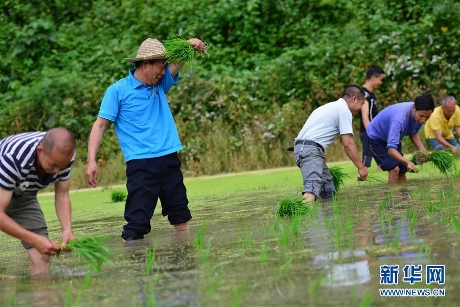 （新華全媒頭條·圖文互動）（8）干部去哪兒了？——貴州干部大規(guī)模下沉脫貧攻堅一線紀實