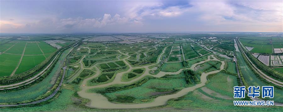 （新華全媒頭條·圖文互動）（11）大湖見證——長三角三大淡水湖綠色發(fā)展之路