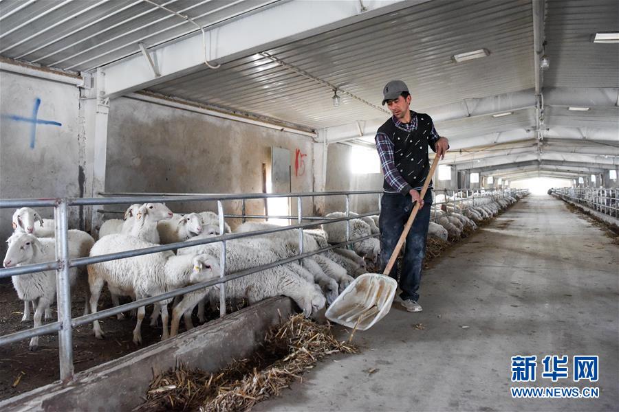 （決戰(zhàn)決勝脫貧攻堅·圖文互動）（5）決戰(zhàn)昆侖——新疆聚焦10個未摘帽縣展開深度貧困攻堅戰(zhàn) 