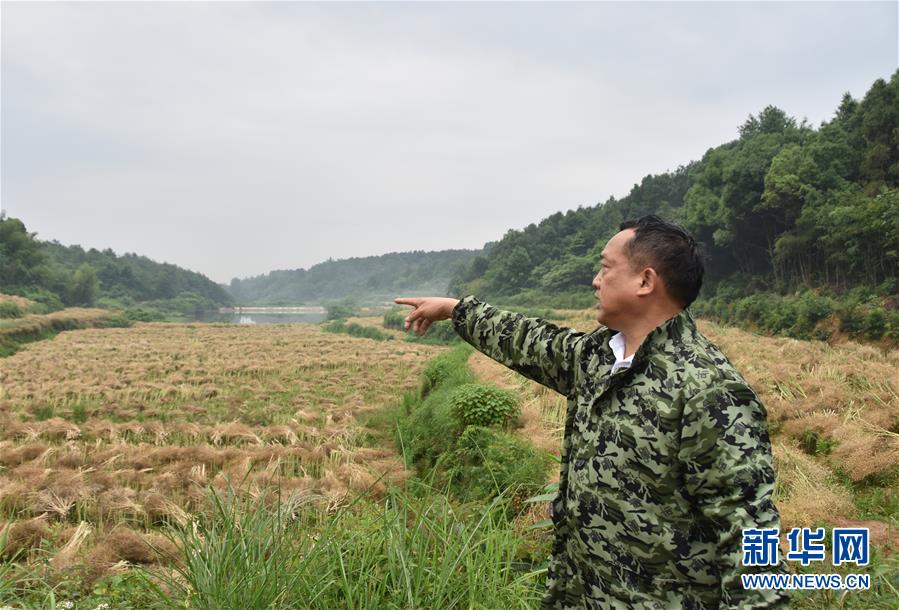 （代表委員履職·圖文互動）（2）“我是農(nóng)民代表，始終關(guān)注農(nóng)村”——全國人大代表沈昌健的履職故事