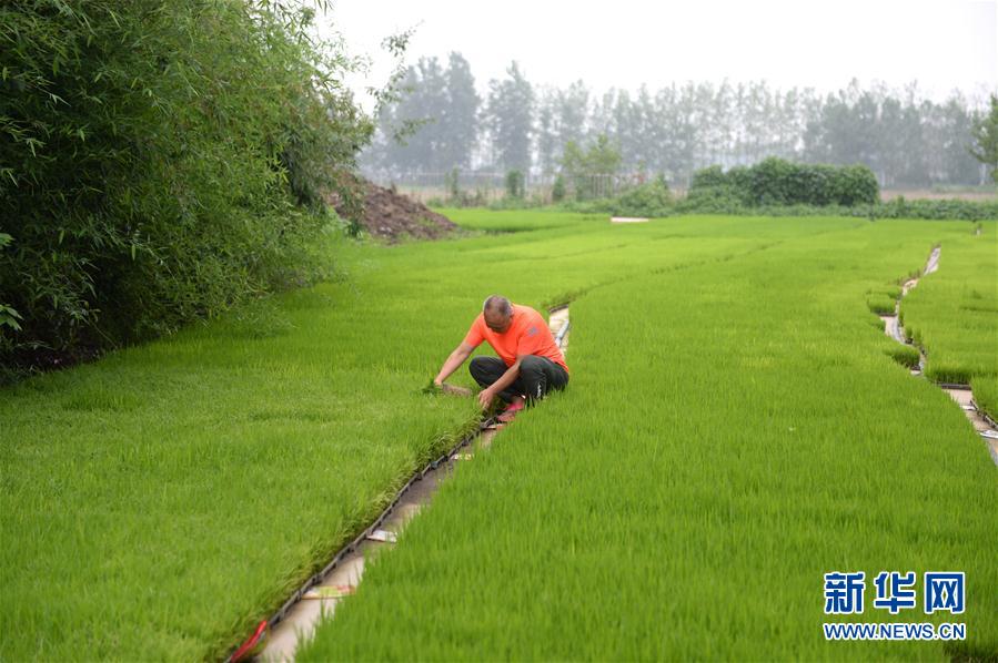 （圖文互動）（2）“以萬全準(zhǔn)備防萬一發(fā)生”——安徽沿淮地區(qū)防汛備汛見聞