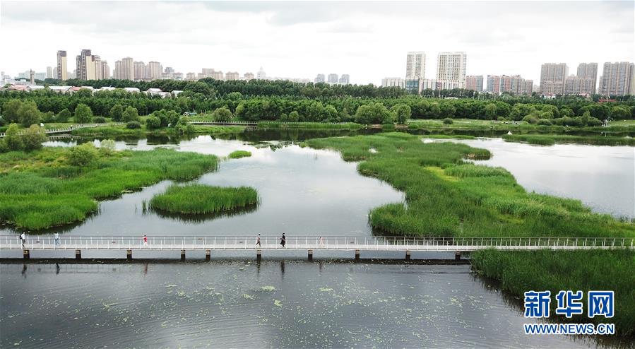 （走向我們的小康生活·圖文互動）（1）水清、地綠、空氣新——最北省份黑龍江繪就生態(tài)治理新畫卷