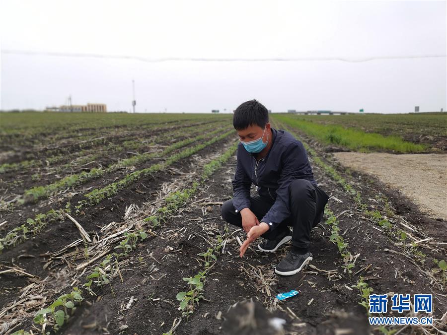 （在習(xí)近平新時代中國特色社會主義思想指引下——新時代新作為新篇章·習(xí)近平總書記關(guān)切事·圖文互動）（4）讓百姓吃得飽還要吃得好——夯實糧食安全基礎(chǔ)端牢中國飯碗