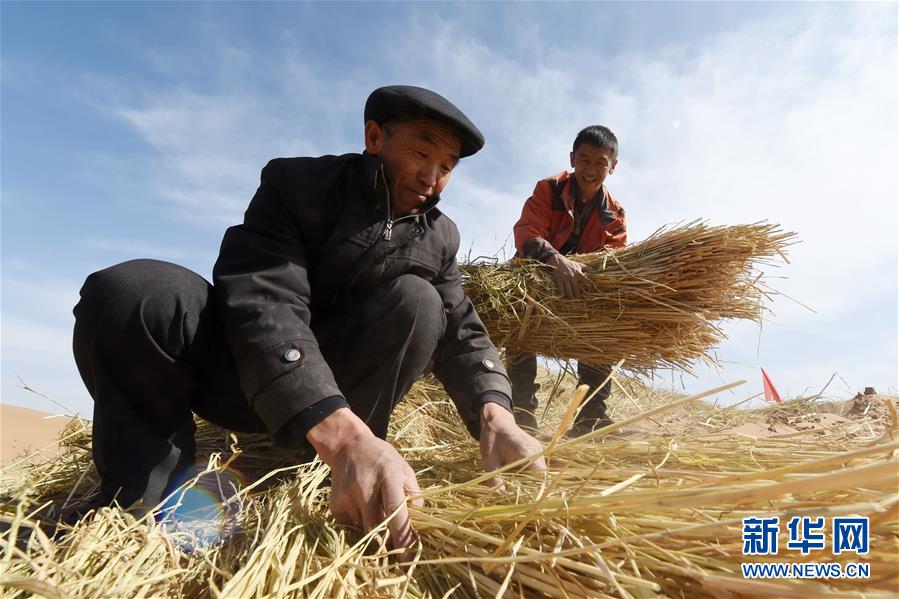 （在習(xí)近平新時(shí)代中國特色社會主義思想指引下——新時(shí)代新作為新篇章·習(xí)近平總書記關(guān)切事·圖文互動）（5）綠色映底蘊(yùn)，山水見初心——生態(tài)優(yōu)先、綠色發(fā)展持續(xù)造福群眾美好生活