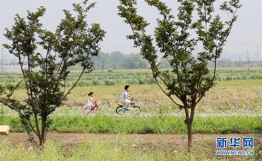 （新華全媒頭條·走向我們的小康生活·圖文互動）（14）城市，讓人民生活更美好