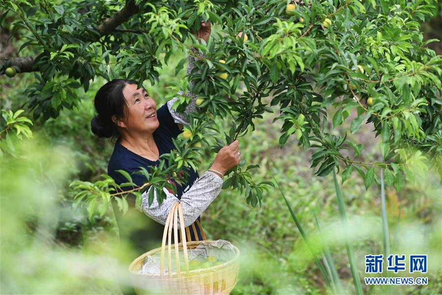 （新華全媒頭條·走向我們的小康生活·圖文互動）（7）大城大鄉(xiāng)的“幸福協(xié)奏曲”——重慶推動高質(zhì)量發(fā)展創(chuàng)造高品質(zhì)生活紀(jì)事