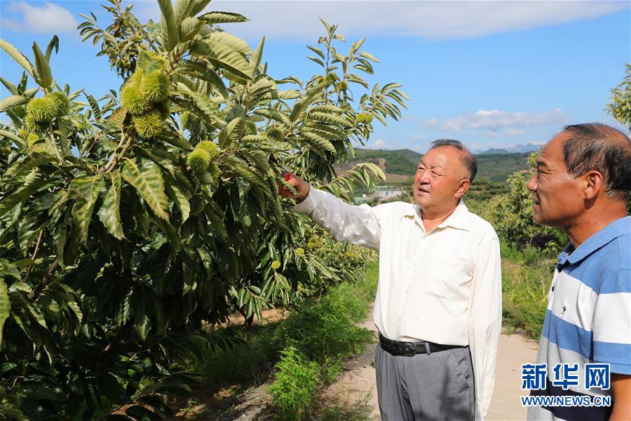 （新華全媒頭條·走向我們的小康生活·圖文互動）（11）長城腳下，小康村串成“珍珠鏈”