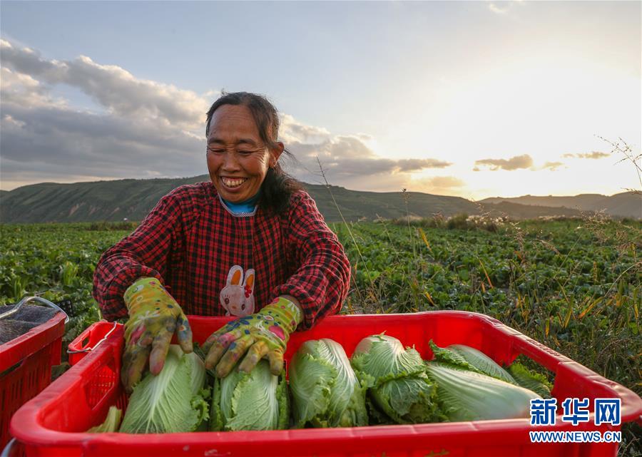 （新華全媒頭條·決戰(zhàn)決勝脫貧攻堅·督戰(zhàn)未摘帽貧困縣·圖文互動）（1）不獲全勝，決不收兵——全國52個掛牌督戰(zhàn)貧困縣脫貧攻堅紀實