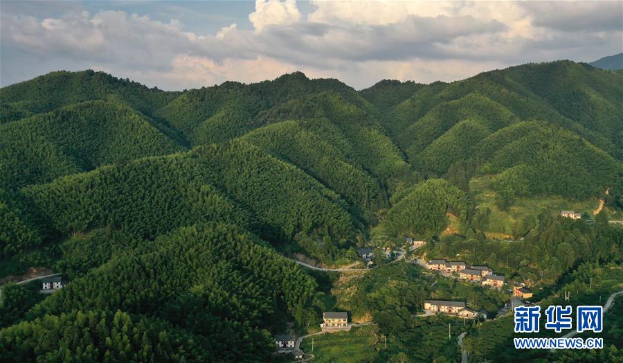 （新華全媒頭條·走向我們的小康生活·圖文互動）（2）神山村“神奇”何在？——井岡山深處覓答案