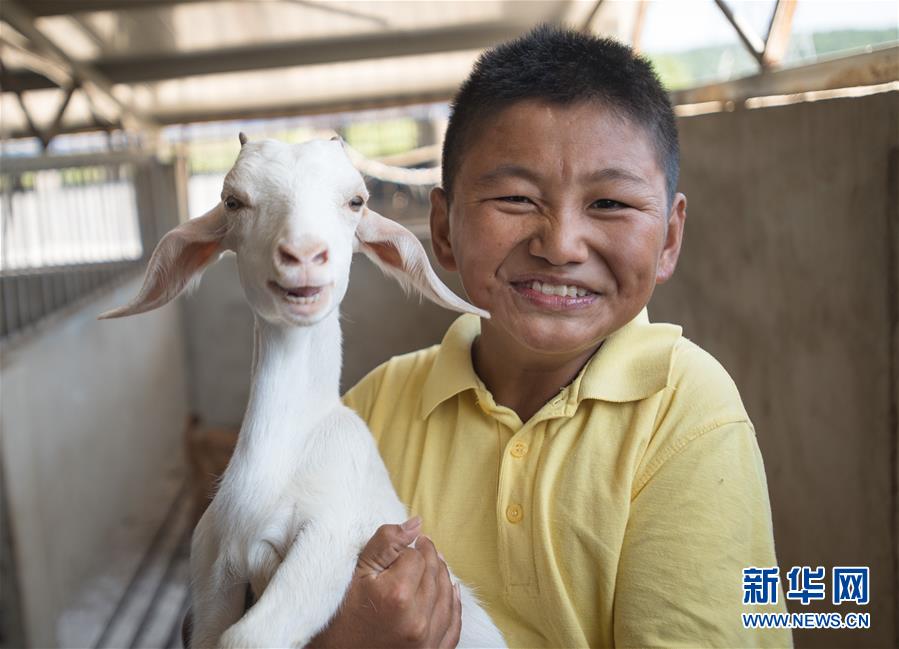 （新華全媒頭條·走向我們的小康生活·圖文互動）（5）特殊之年，荊楚大地書寫不平凡的答卷