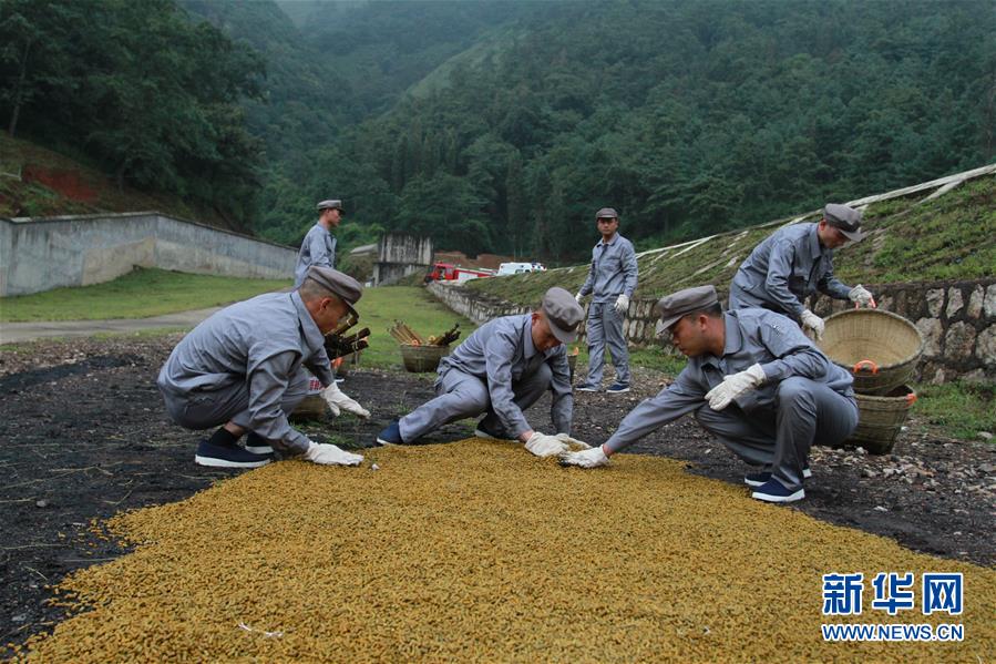 （在習(xí)近平強(qiáng)軍思想指引下·我們在戰(zhàn)位報(bào)告·圖文互動(dòng)）（3）牢記統(tǒng)帥囑托  做刀尖上的舞者——記聯(lián)勤保障部隊(duì)某報(bào)廢武器彈藥銷毀站參謀長陳雪禮