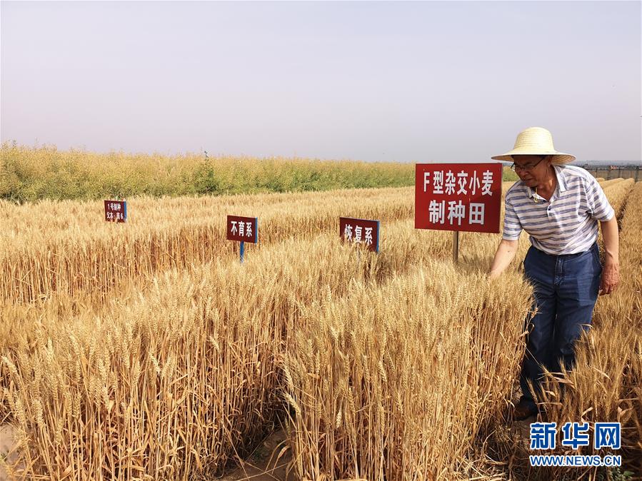 （在習(xí)近平新時(shí)代中國特色社會主義思想指引下——新時(shí)代新作為新篇章·習(xí)近平總書記關(guān)切事·圖文互動）（3）讓百姓吃得飽還要吃得好——夯實(shí)糧食安全基礎(chǔ)端牢中國飯碗