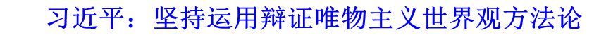 習(xí)近平：堅(jiān)持運(yùn)用辯證唯物主義世界觀方法論