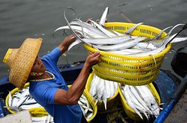 海南瓊海：出海歸來(lái)魚滿艙