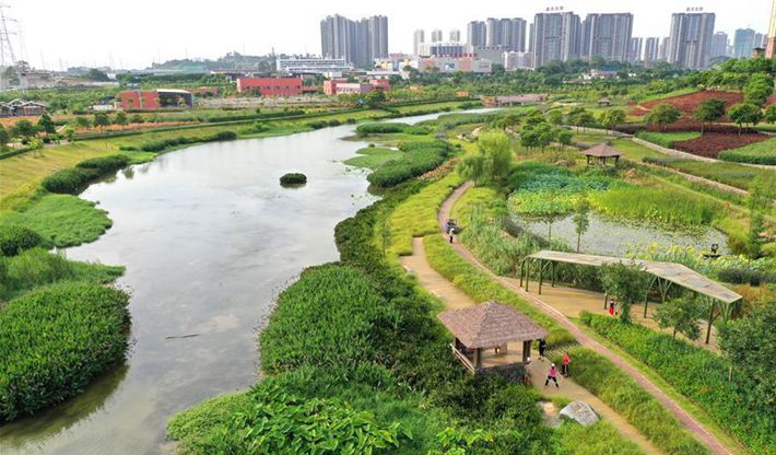 南寧那考河濕地公園：一條“臭水溝”的華麗轉(zhuǎn)身