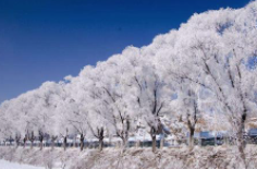 全國初雪時(shí)間表出爐 看看你離初雪還有多遠(yuǎn)？