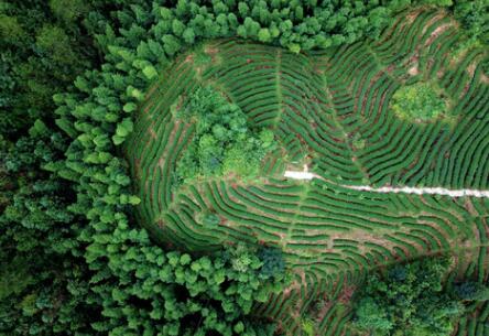 福建龍巖：高效用地，提升生態(tài)環(huán)境水平