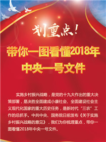 劃重點！帶你一圖看懂2018年中央一號文件