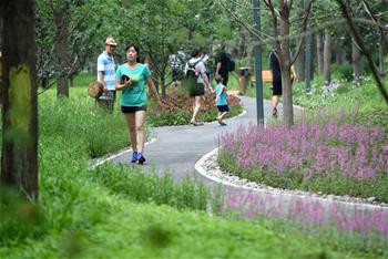 北京東城區(qū)第一處城市森林公園建成開(kāi)放