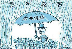 我國農(nóng)業(yè)保險(xiǎn)業(yè)務(wù)規(guī)模居全球第二