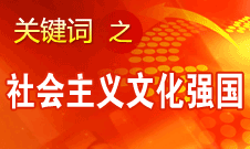 胡錦濤提出，扎實推進社會主義文化強國建設