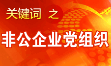 王京清：非公企業(yè)建立黨組織服務(wù)企業(yè)發(fā)展、服務(wù)員工