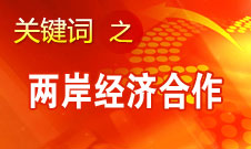 張平：大陸到臺灣投資不盡如人意 希望臺灣更解放一些