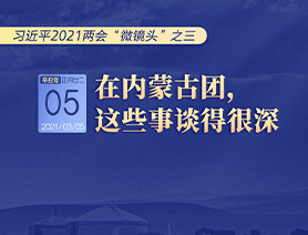 習(xí)近平2021兩會(huì)“微鏡頭”之三 3月5日 在內(nèi)蒙古團(tuán)，這些事談得很深