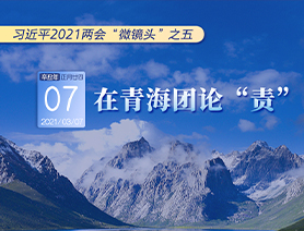 習(xí)近平2021兩會“微鏡頭”之五：3月7日 在青海團論“責(zé)”