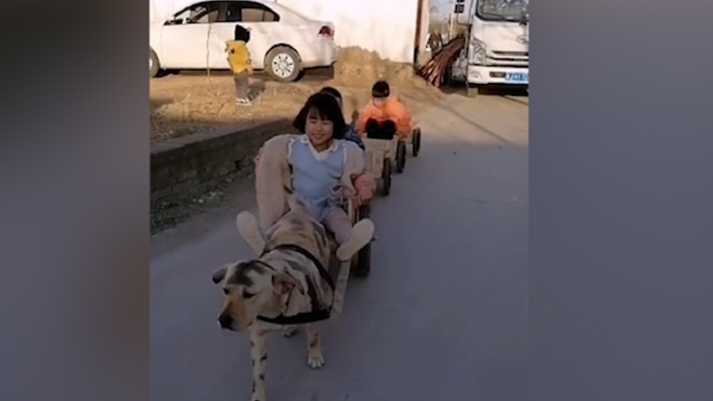 男子給孩子做縮小版小火車，家里的狗狗做動力拉著孩子上學