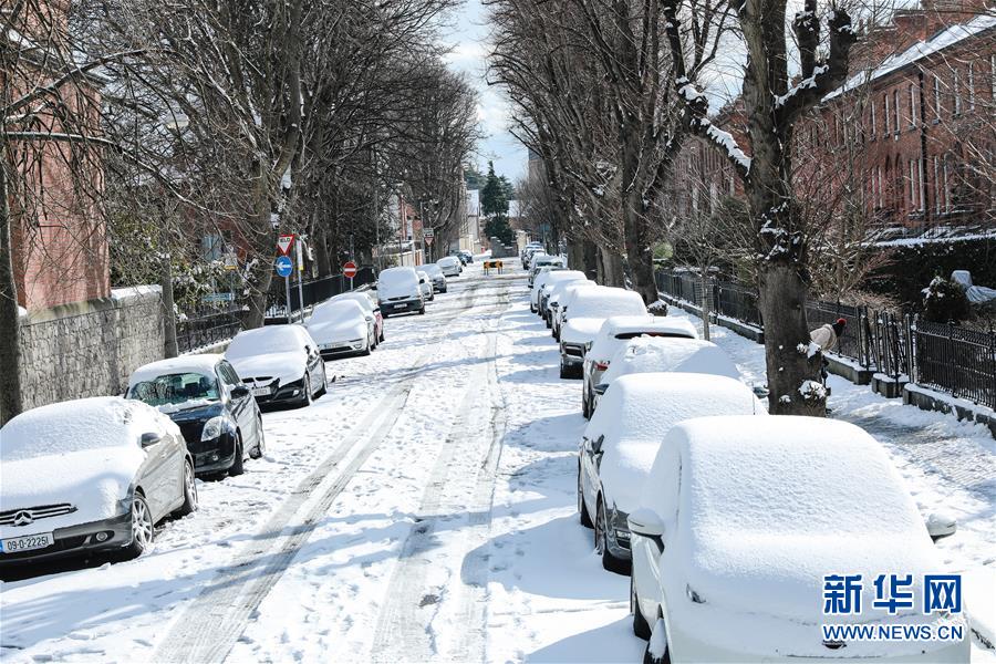 （國(guó)際）（4）愛爾蘭遭遇36年來(lái)最嚴(yán)重暴風(fēng)雪