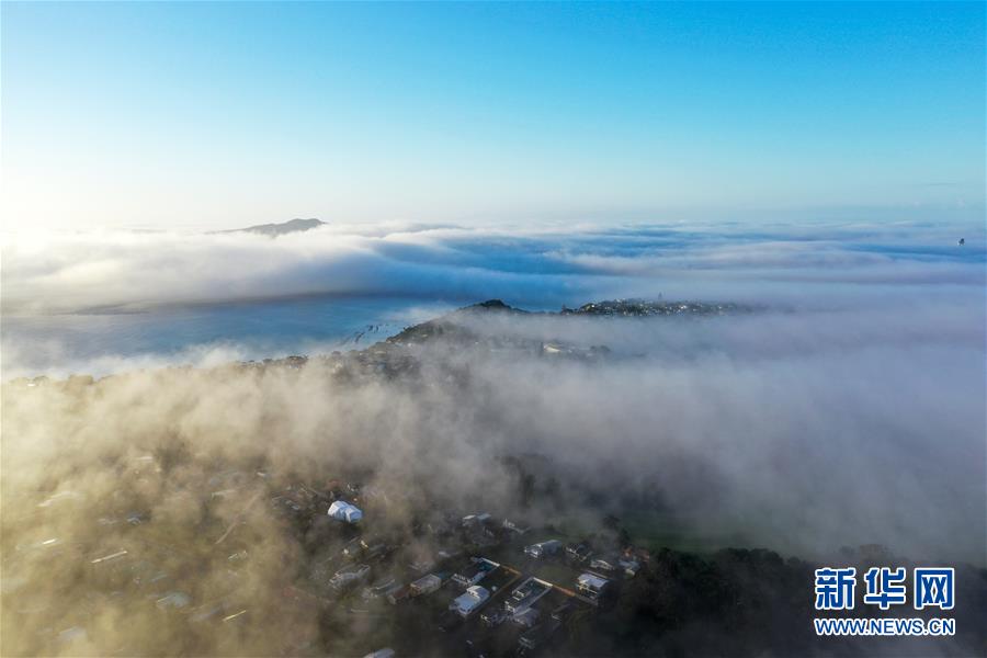 （國際）（1）奧克蘭大霧彌漫