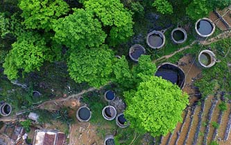 從禿山到青山的蝶變——廣西石漠化治理10年再現發(fā)展生機