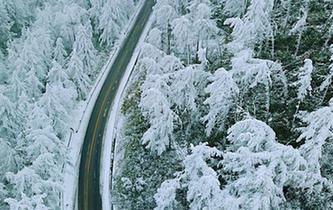 湖北現(xiàn)“林海雪原” 銀裝素裹風(fēng)景如畫